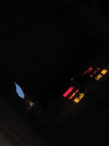 consumer temple